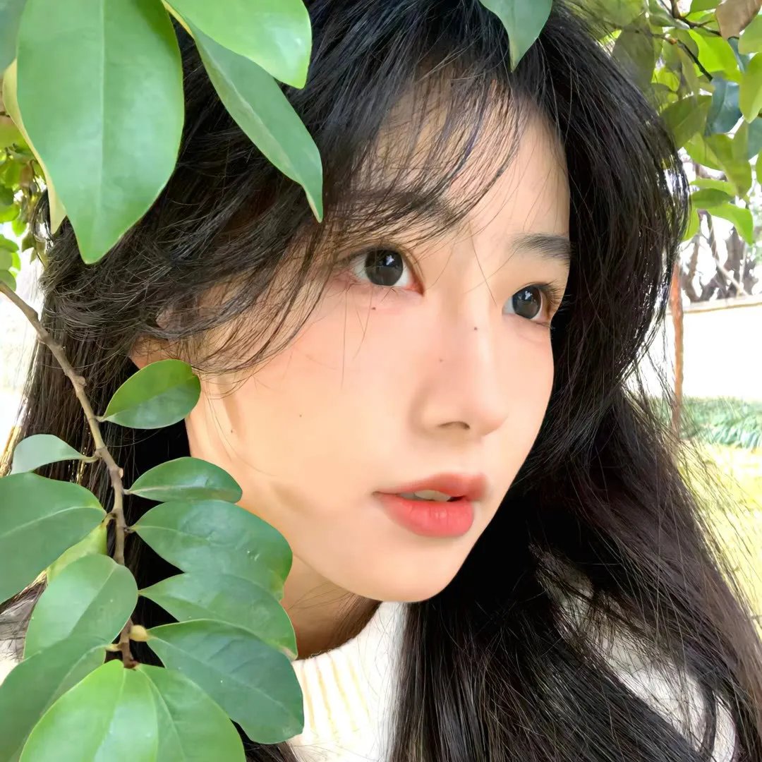 我的野蛮女友2
